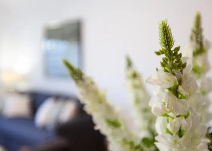 Sete Rios Διαμέρισμα